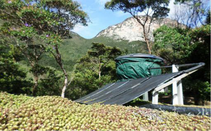 No mirante, acima do telhado ecologico, o lindo visual do Capão..