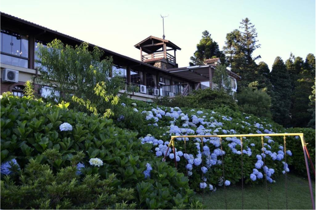 A beleza das hortencias no "Hotel Bangalôs da Serra". 