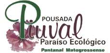 logo-piuval