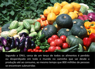 ONU lança padrão global para medir perda e desperdício de alimentos. Confira!