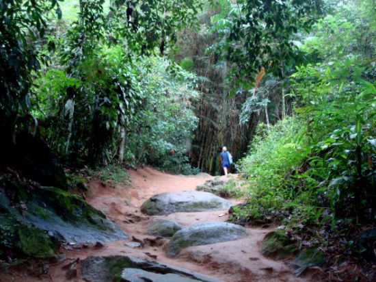 Trilha para a Cachoeira da Pedra Branca ...