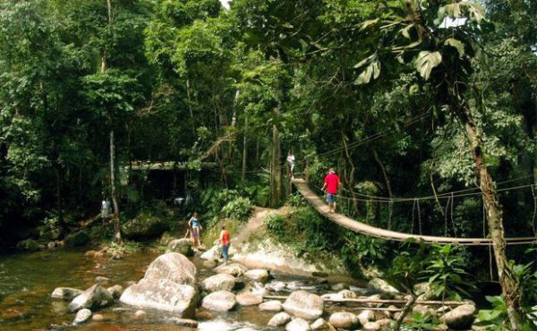 Ponte que leva ao Poço do Tarzan ...