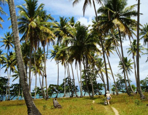 Caminho para a Praia da Cueira