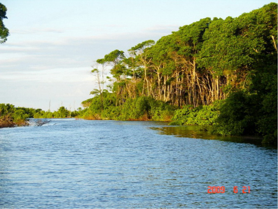 ilha dos poldros4