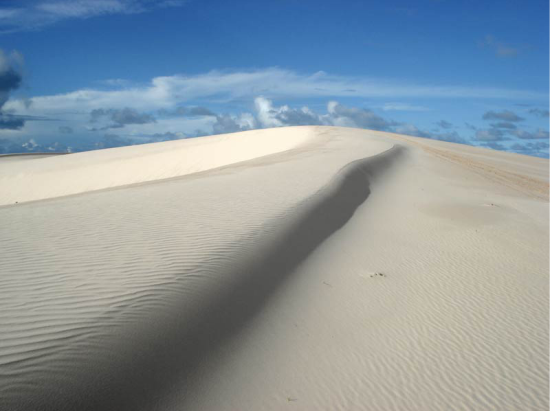 ilha dos poldros5