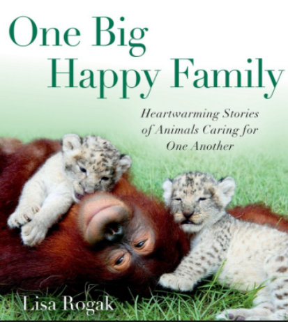 big family livro