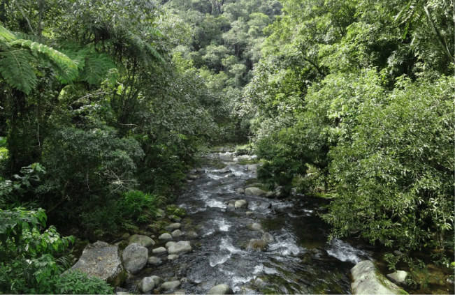 Rio Preto