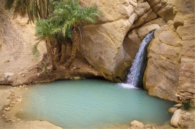 Chebika Oasis (Tunisia), tem piscinas claras, palmeiras, muito verde,  cachoeiras e formações rochosas. Foi cenário dos filmes  "Star Wars" Raiders of the Lost Ark" e o "Paciente Inglês.  Foto:  Dasha Petrenko/Shutterstock