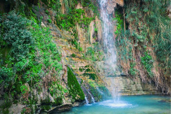 Ein Gedi (Israel), é uma das atrações naturais mais populares em Israel. É certamente um dos oásis mais antigos da história. Arqueólogos encontraram artefatos em cavernas perto de Ein Gedi que datam dos tempos neolíticos. Agora, é o centro de uma reserva natural que foi formada em 1971, limitado pelo deserto da Judéia e pelo Mar Morto. Foto: vvvita/Shutterstock)