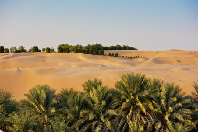 Liwa Oasis, fica  em Abu Dhabi,  Emirados Árabes Unidos e na Arábia Saudita.É o maior deserto de areia contínua do mundo. Liwa é a última parada antes de entrar neste deserto de areia sem fim. Foto: dvoevnore/Shutterstock