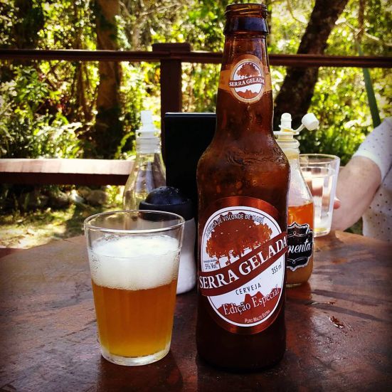 cerveja pinhão